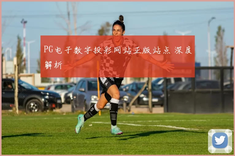 PG电子数字投彩网站正版站点 深度解析