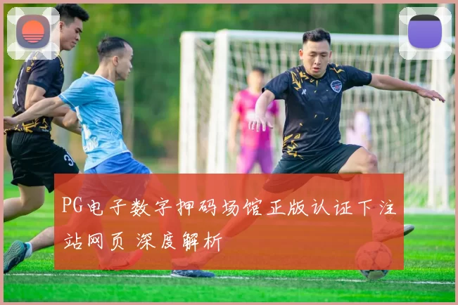 PG电子数字押码场馆正版认证下注站网页 深度解析