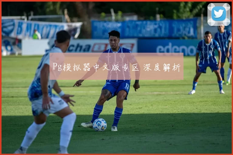 Pg模拟器中文版专区 深度解析