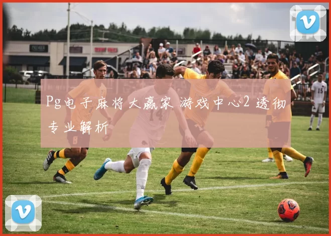 Pg电子麻将大赢家 游戏中心2 透彻专业解析