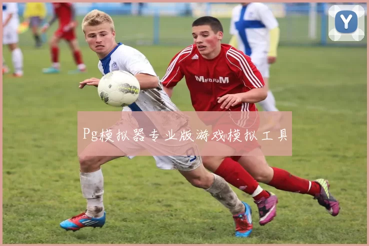 Pg模拟器专业版游戏模拟工具