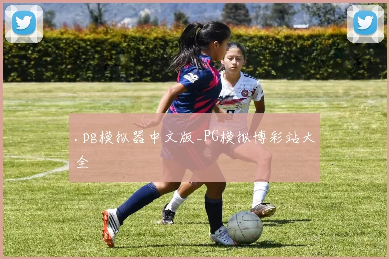 .pg模拟器中文版_PG模拟博彩站大全