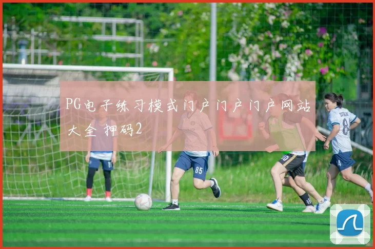PG电子练习模式门户门户门户网站大全 押码2